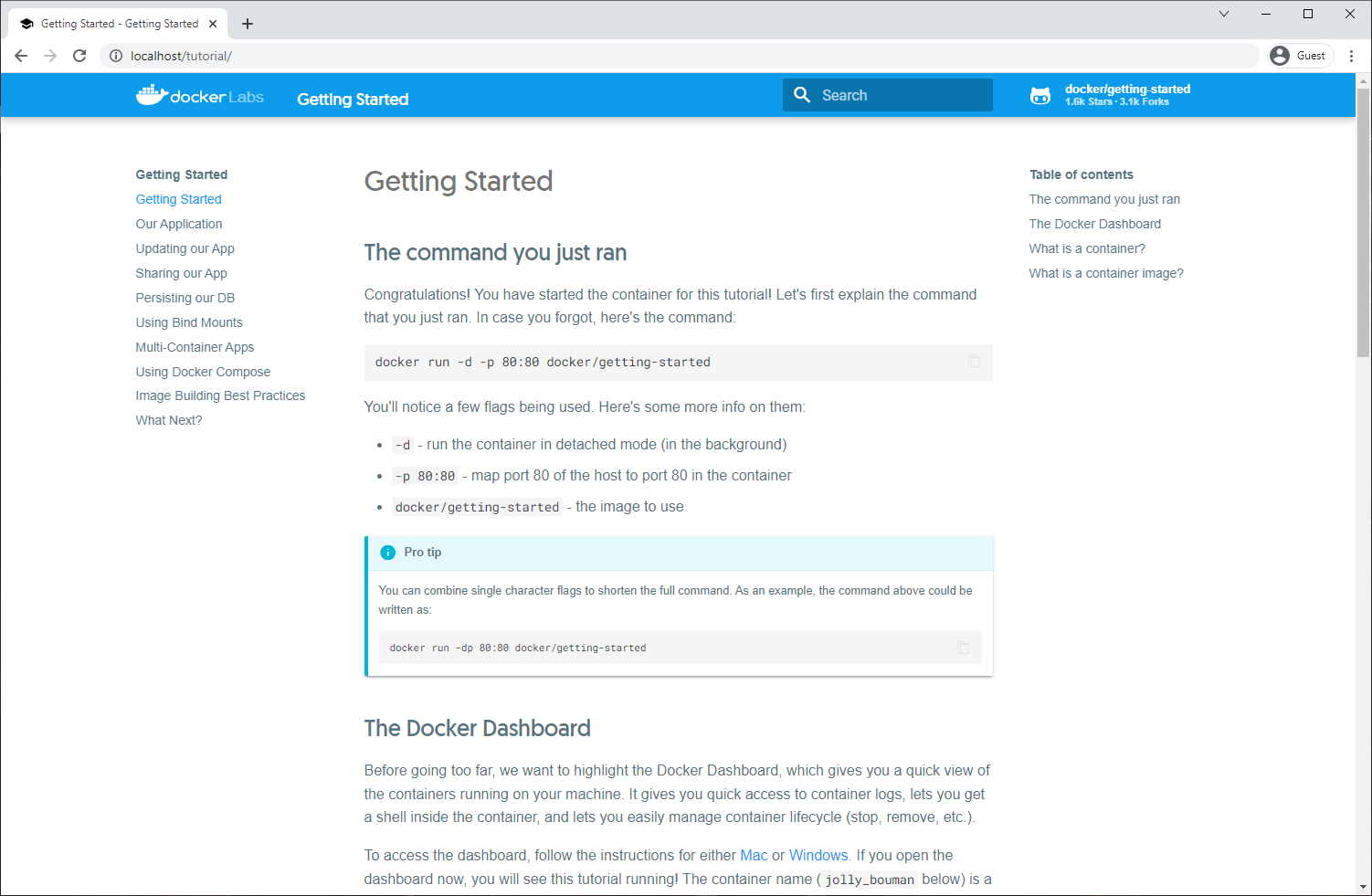 Screenshot of the Getting Started tutorial website running in the getting-started container.